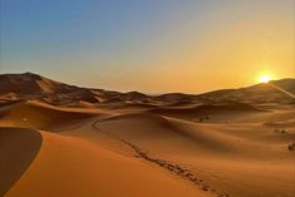 The Sahara Desert: A Vast and Majestic Landscape