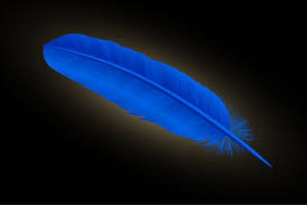 One Blue Feather: A Changed World?